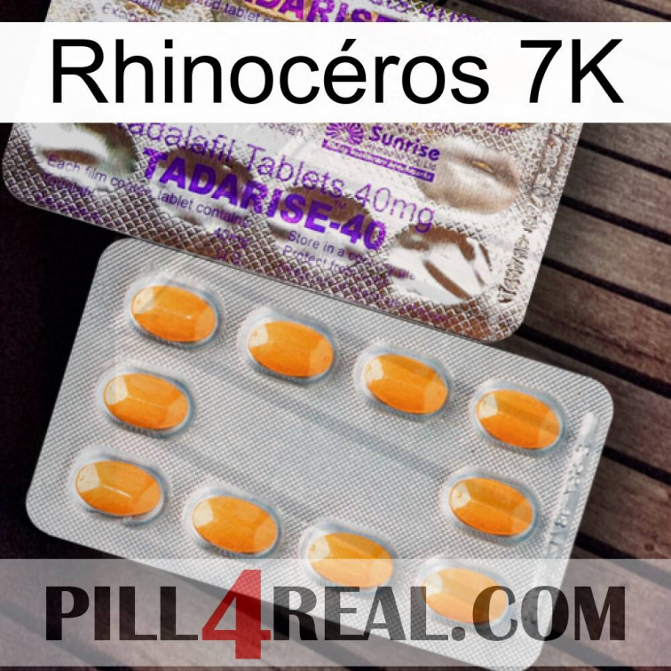 Rhinocéros 7K new12